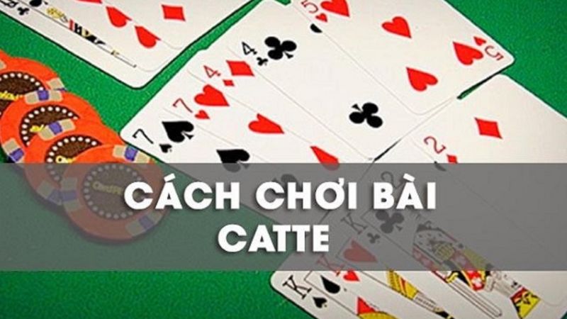 Luật chơi game đánh bài Catte đổi thưởng phổ biến nhất